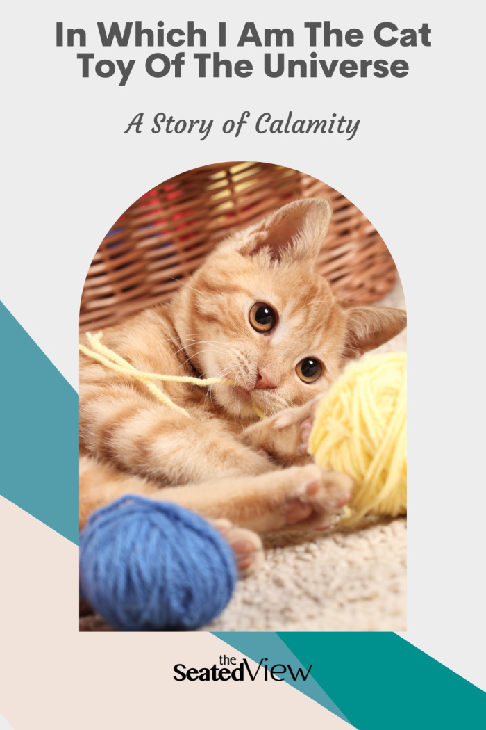 My theory that the universe is a cat and we are it's toy, Pinterest graphic showing an orange tabby kitten playing with balls of yarn. Text: in which I am the Cat Toy of the universe: a story of calamity. Logo for The Seated View