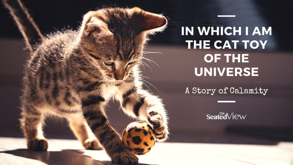 My theory that the universe is a cat and we are it's toy, Title graphic showing a brown tabby kitten playing with a ball. Text: in which I am the Cat Toy of the universe: a story of calamity. Logo for The Seated View