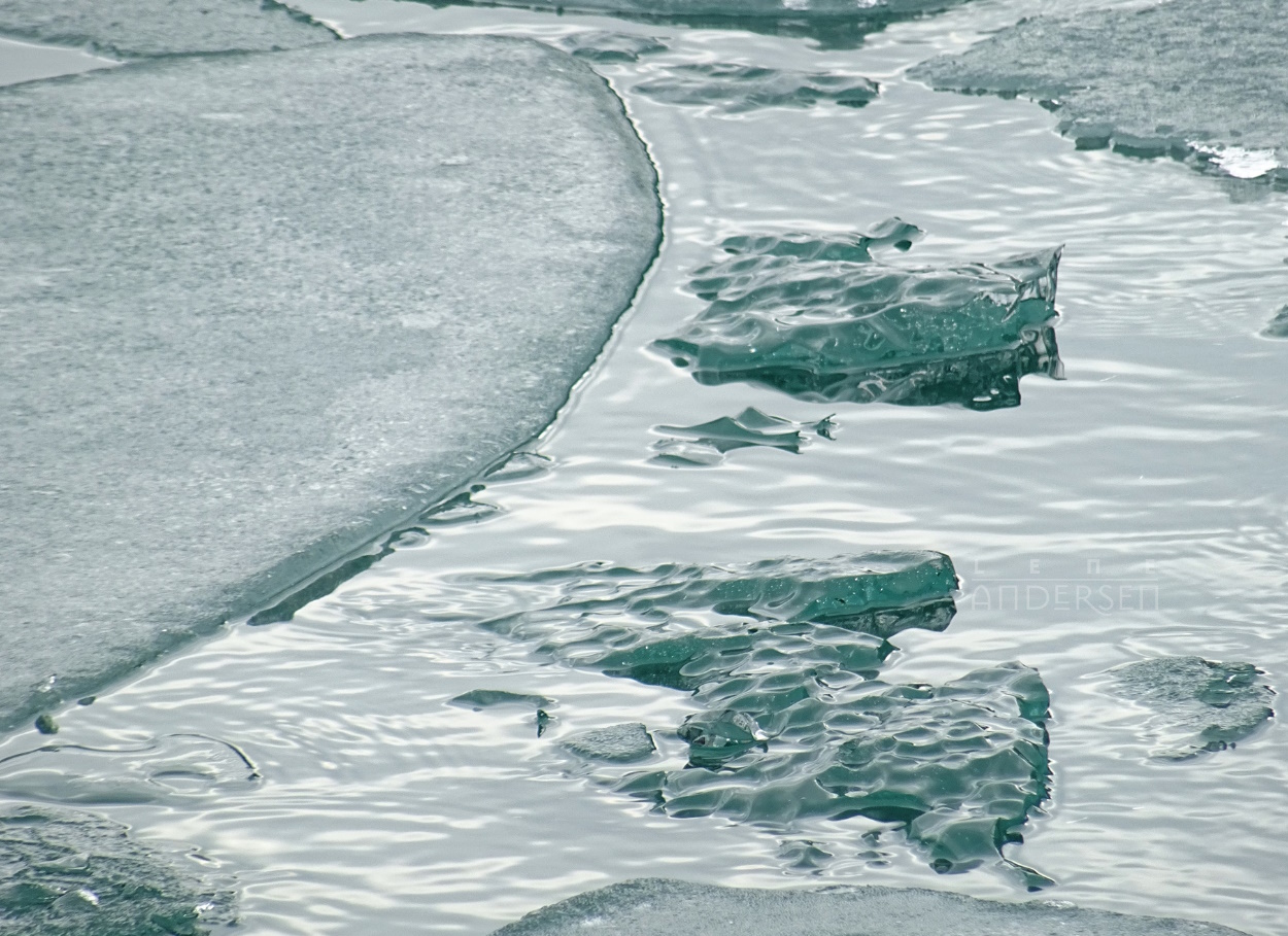 Surreal close-up on an icy lake, showing flowes and glassy pieces of icy in blue-grey water. By Lene Andersen